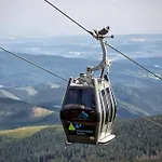 259 *