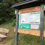 259 *