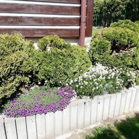 259 Holiday home