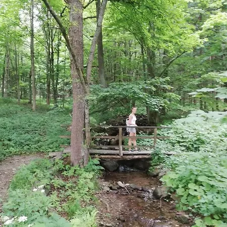 Hébergement de vacances 259 Černý Důl